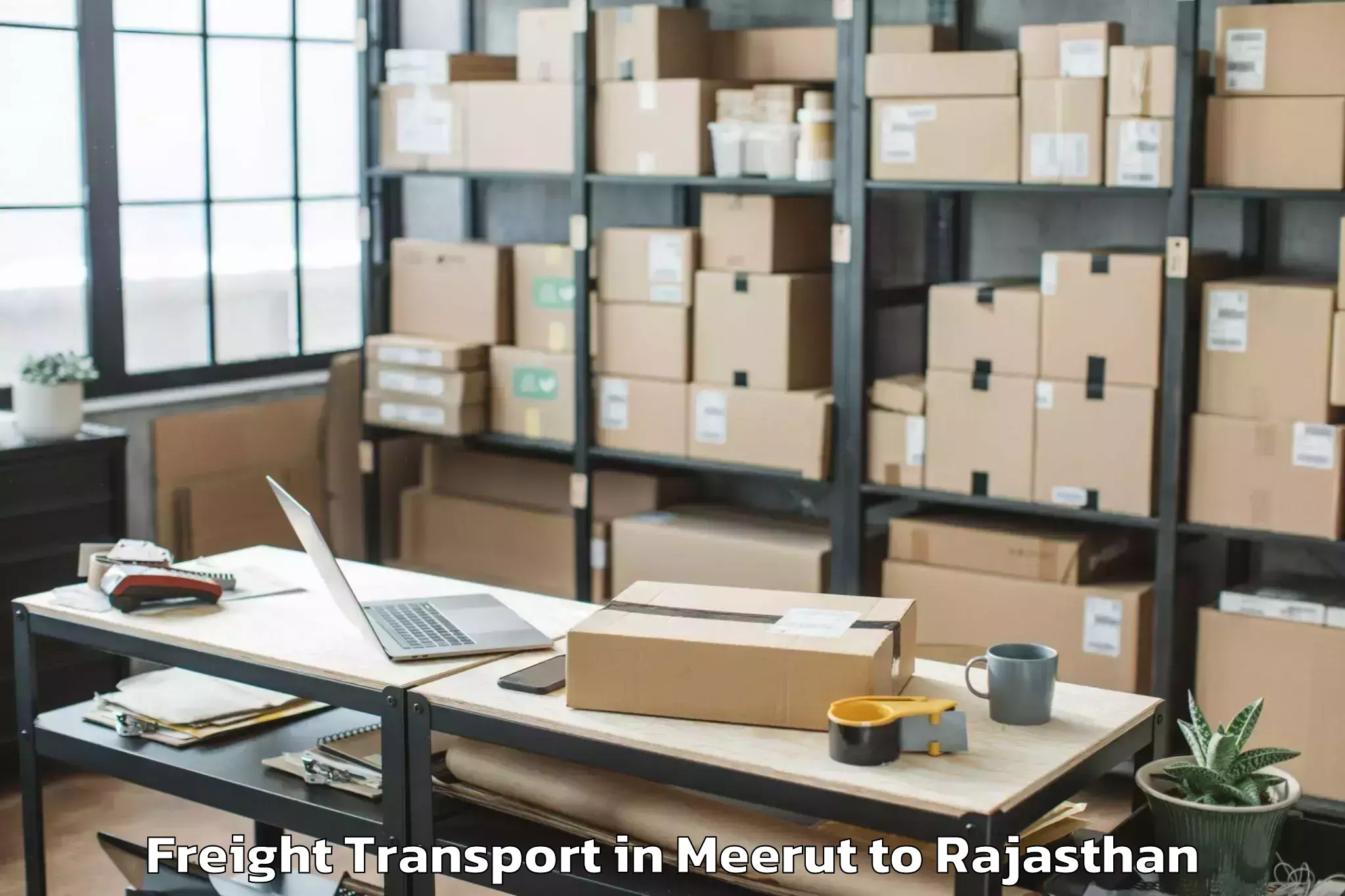 Comprehensive Meerut to Maulana Azad University Jodhpu Freight Transport